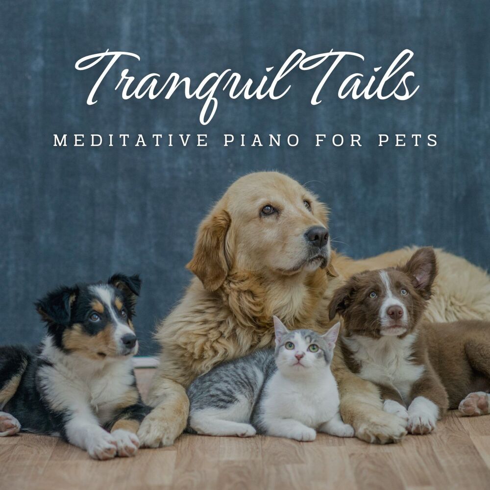 Picture of Tranquil Tails: Meditative Piano for Pets