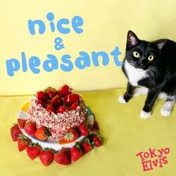 Cover of Nice & Pleasant