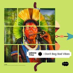 Cover of I Don't Beg Bad Vibes
