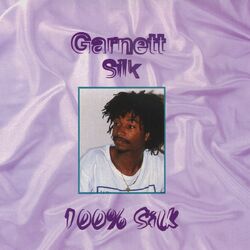 Cover of 100 Silk