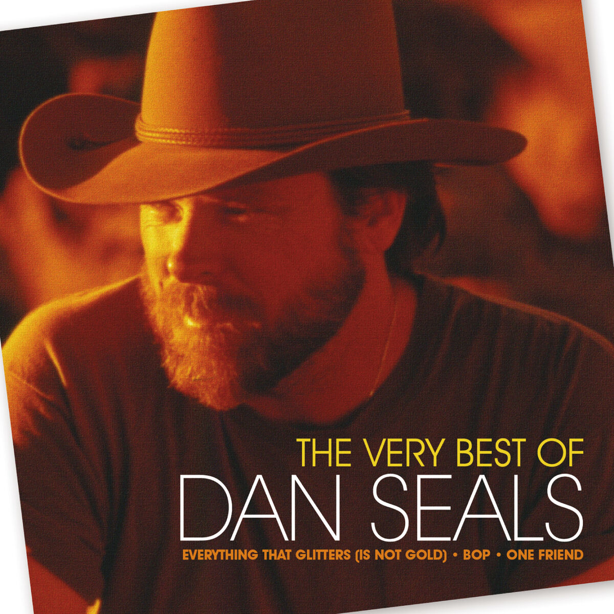 Album cover of The Very Best Of Dan Seals