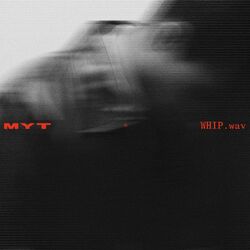 Cover of WHIP.wav