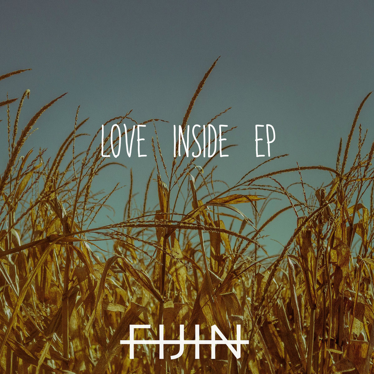 Album cover of Love Inside