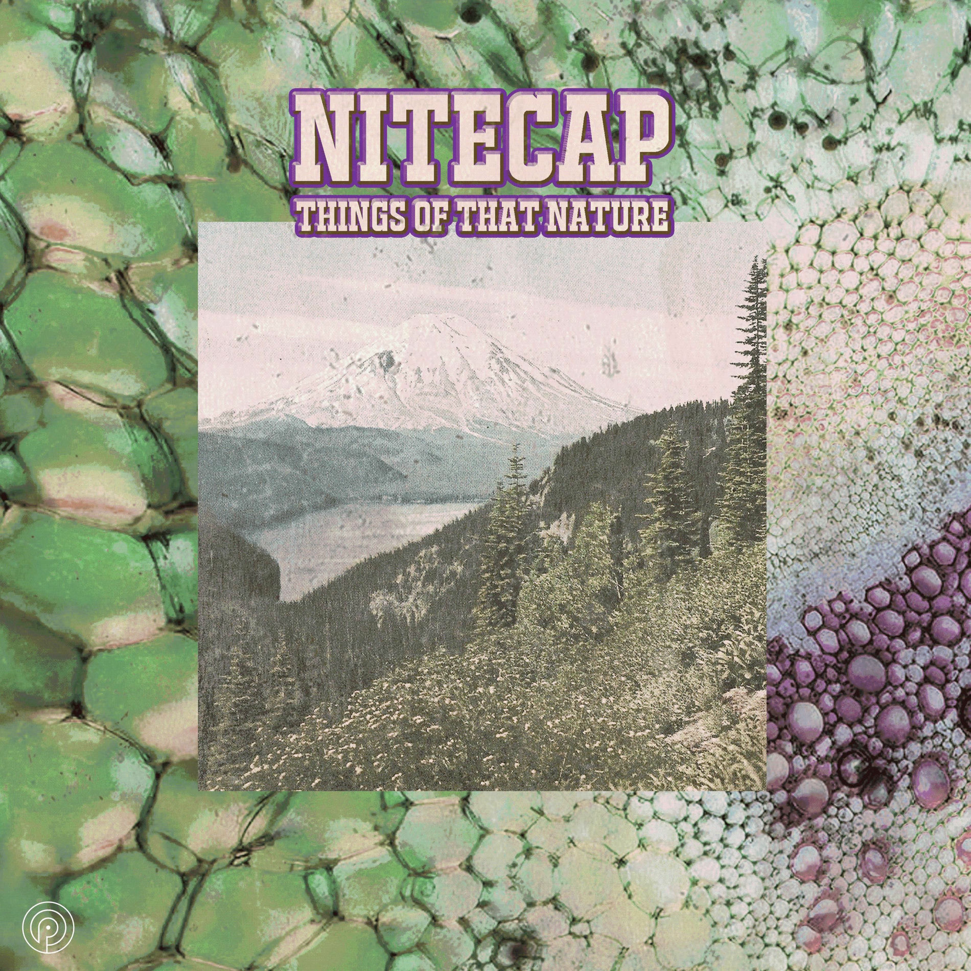 Album cover of Things of That Nature