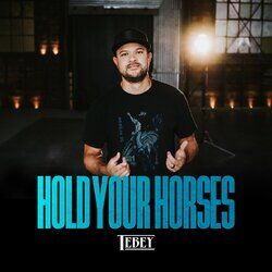 Cover of Hold Your Horses