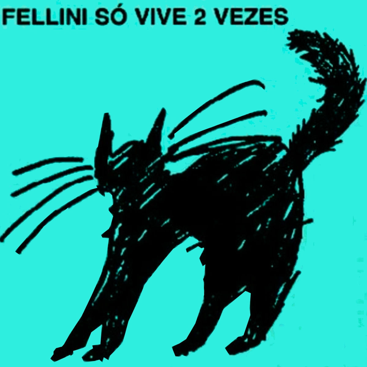 Album cover of Fellini Só Vive 2 Vezes