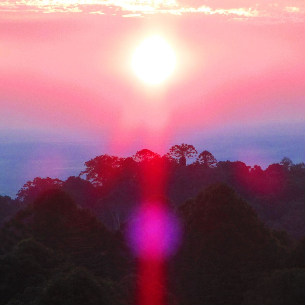Album cover of Paradise Valley
