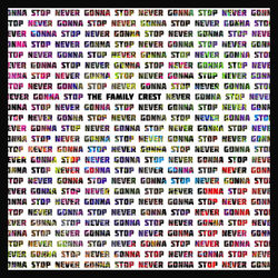 Cover of Never Gonna Stop