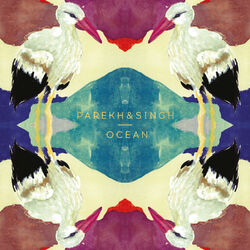 Cover of Ocean (Deluxe)