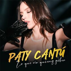 Cover of Lo Que No Quieres Saber