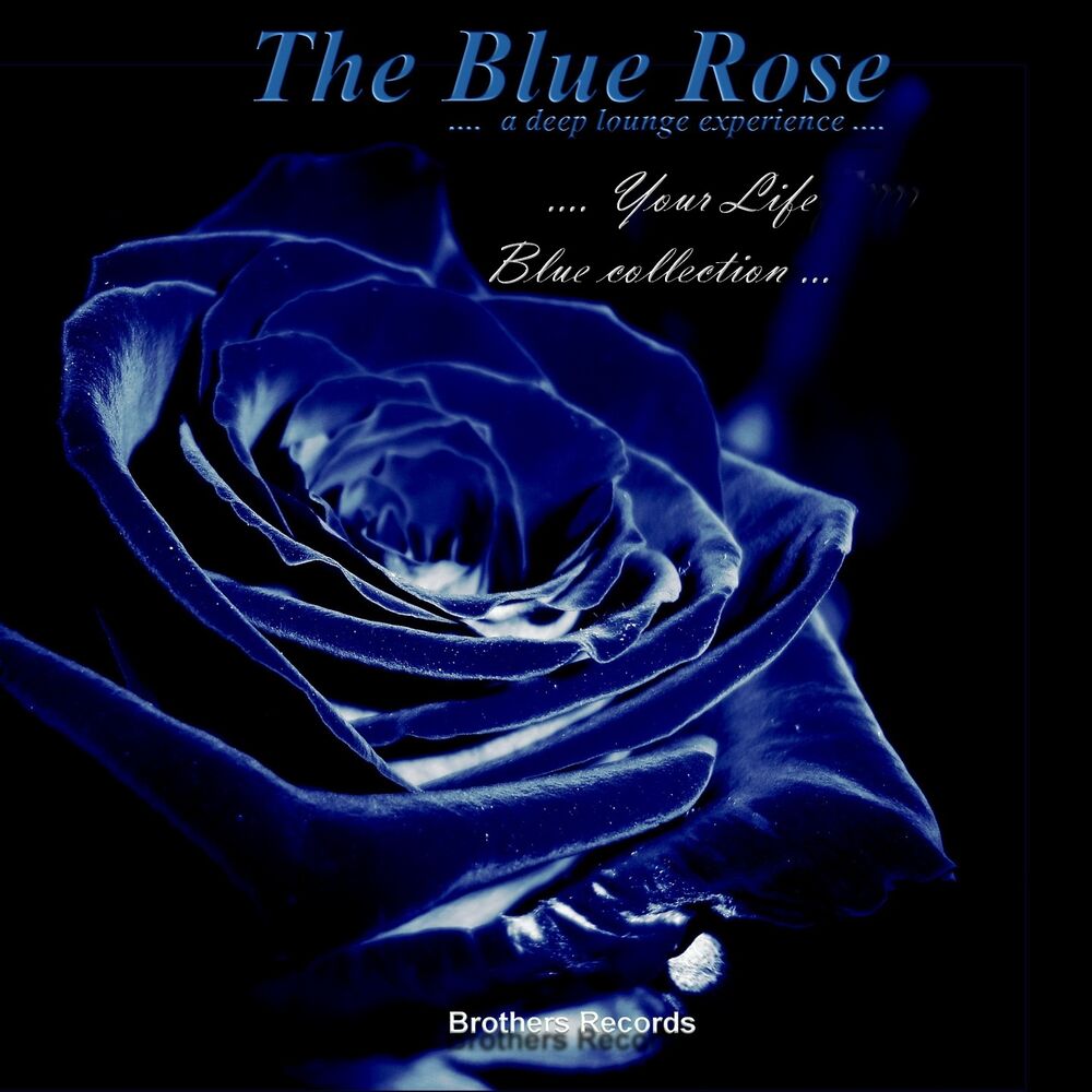 Picture of Your Life (Blue Collection.... A Deep Lounge Experience ....)