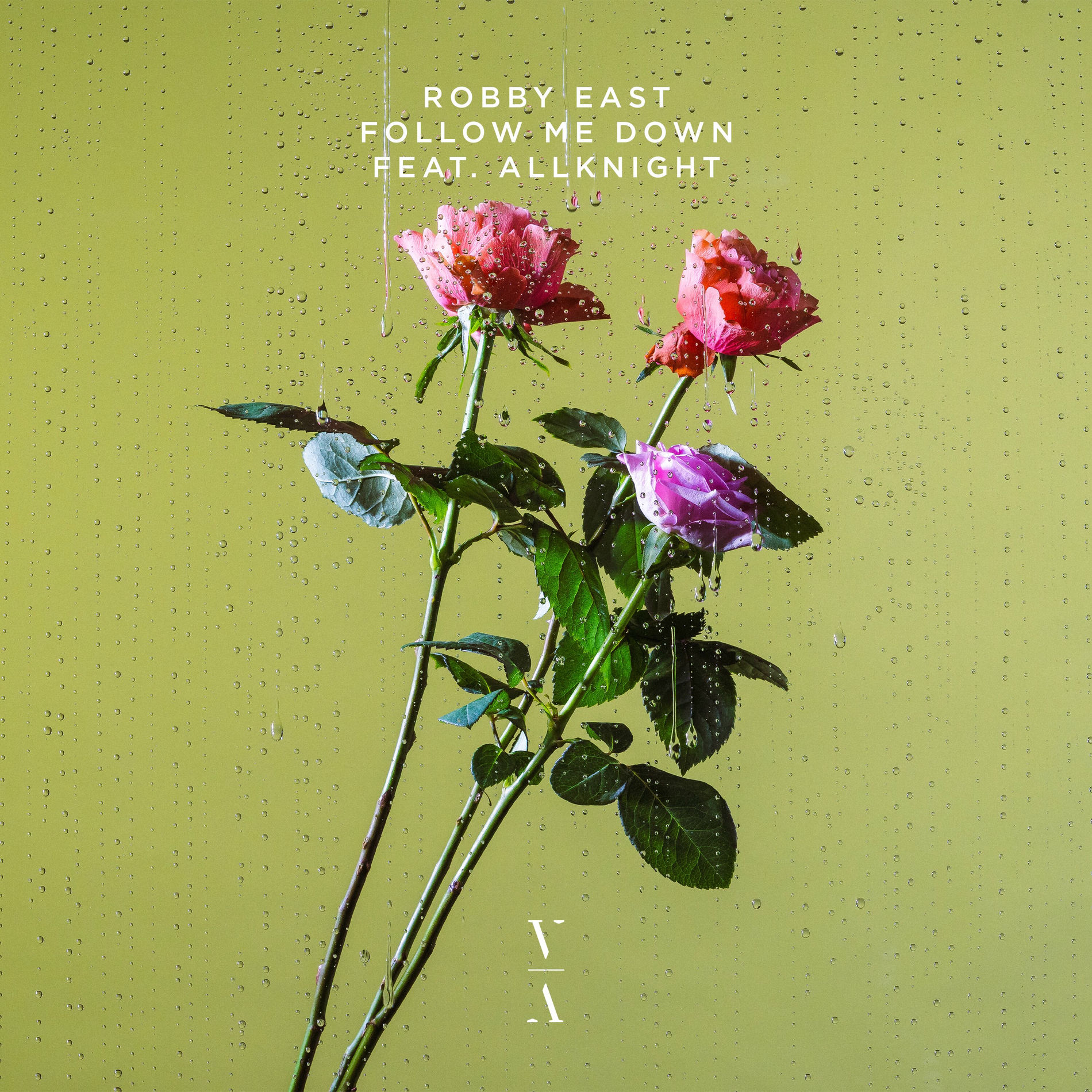 Album cover of Follow Me Down