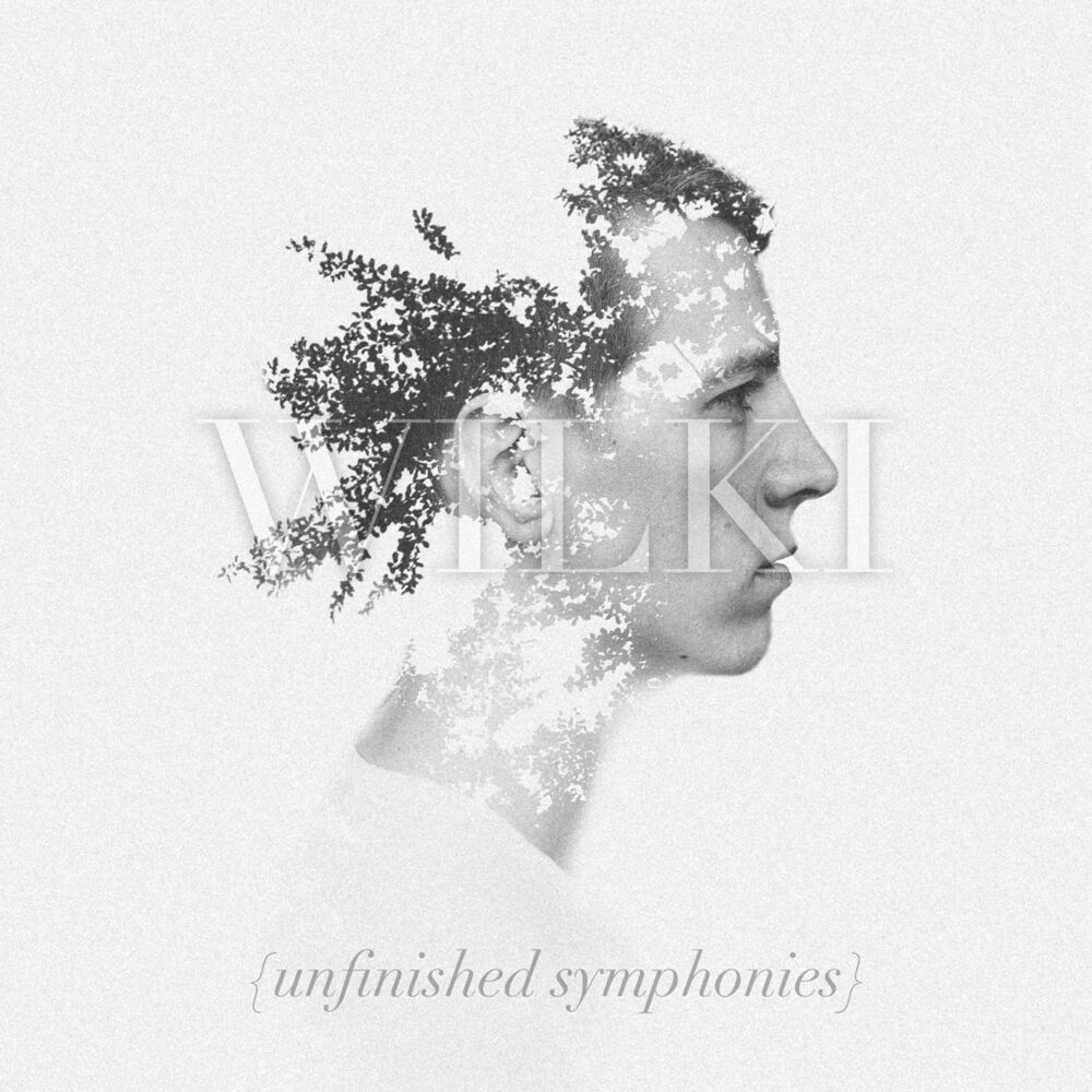 Picture of Unfinished Symphonies