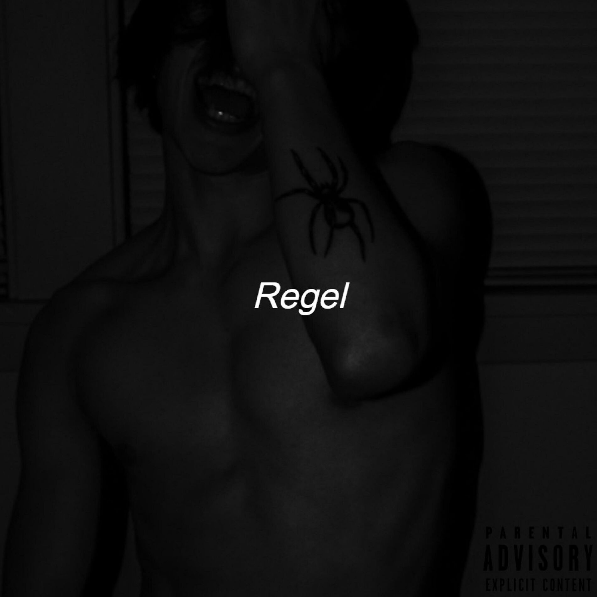 Album cover of Regelia