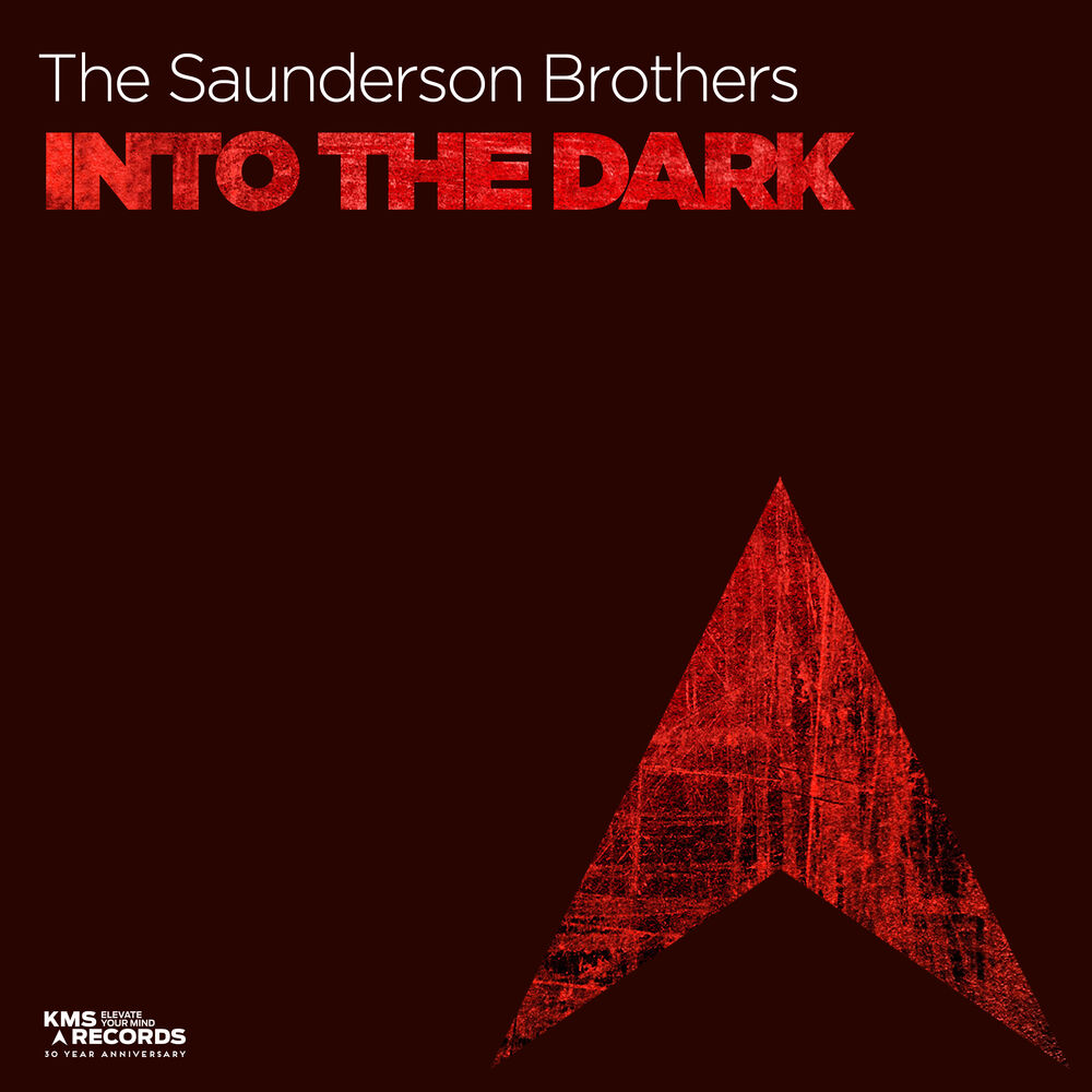 Picture of Into The Dark
