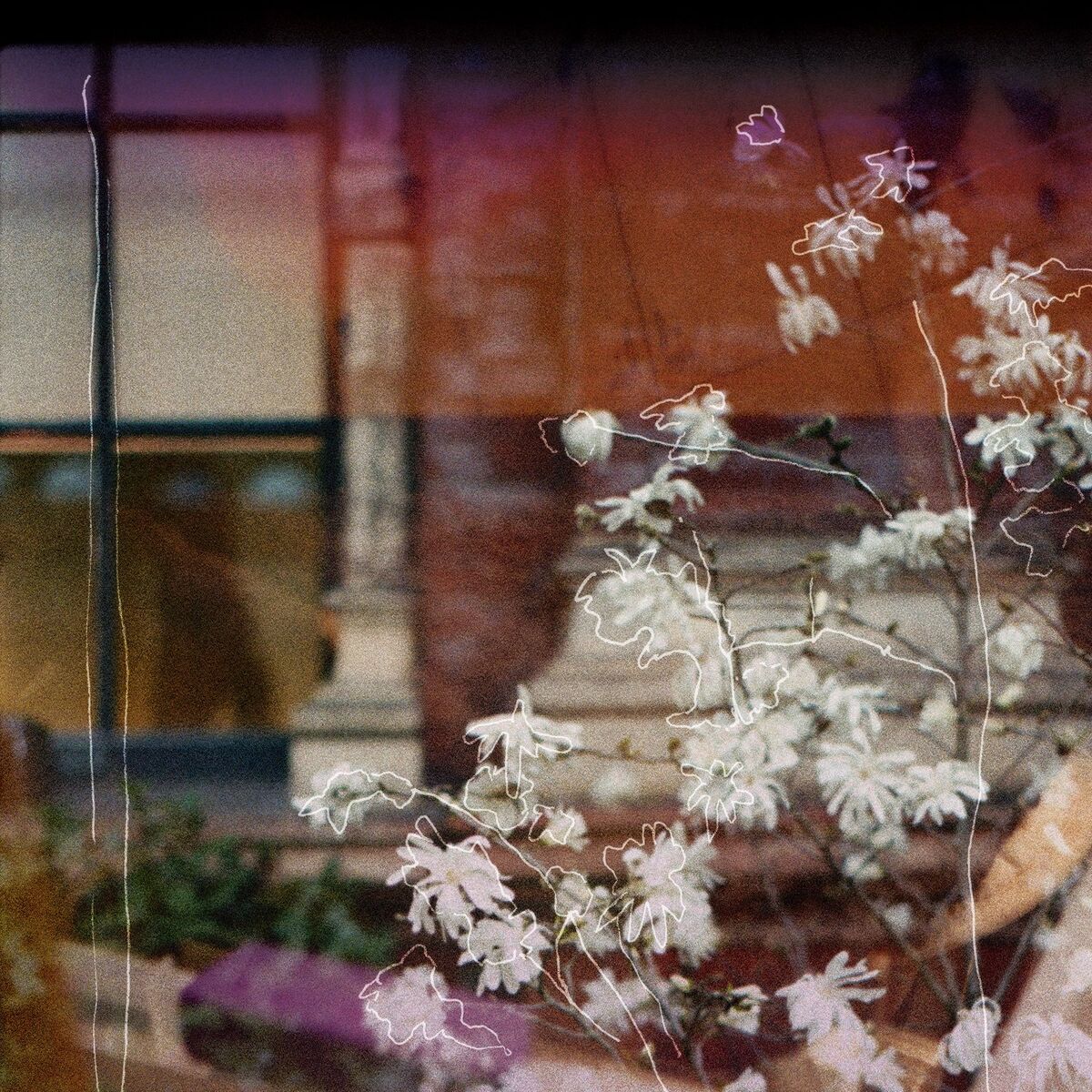 Album cover of A Place You Grew Up In