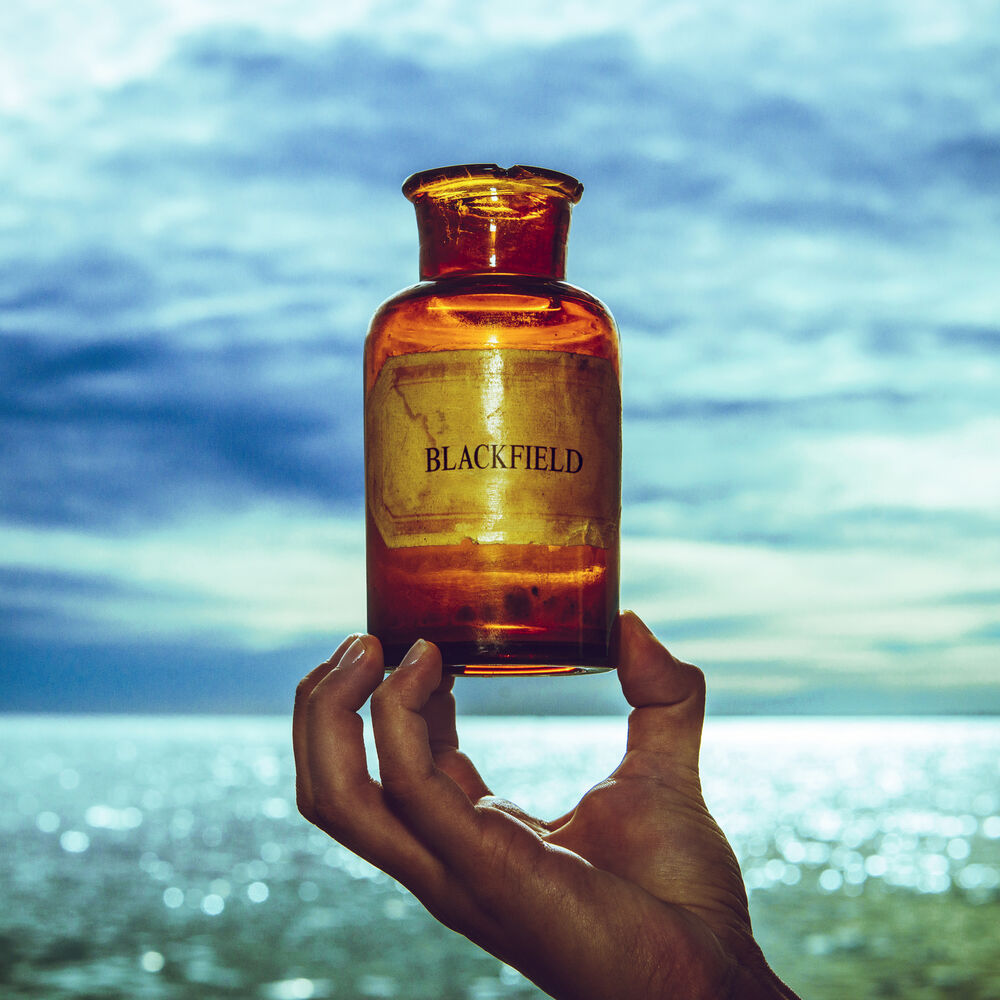 Picture of Blackfield V