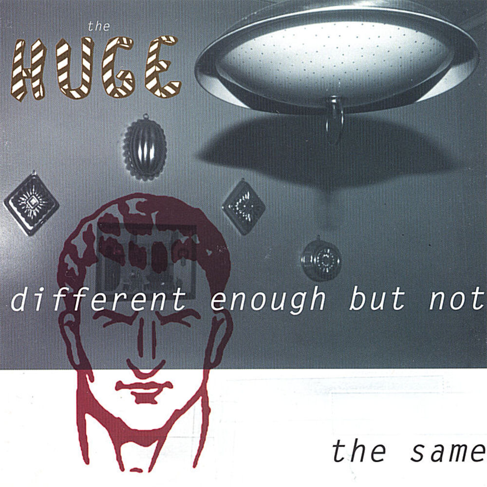 Picture of Different Enough But Not The Same