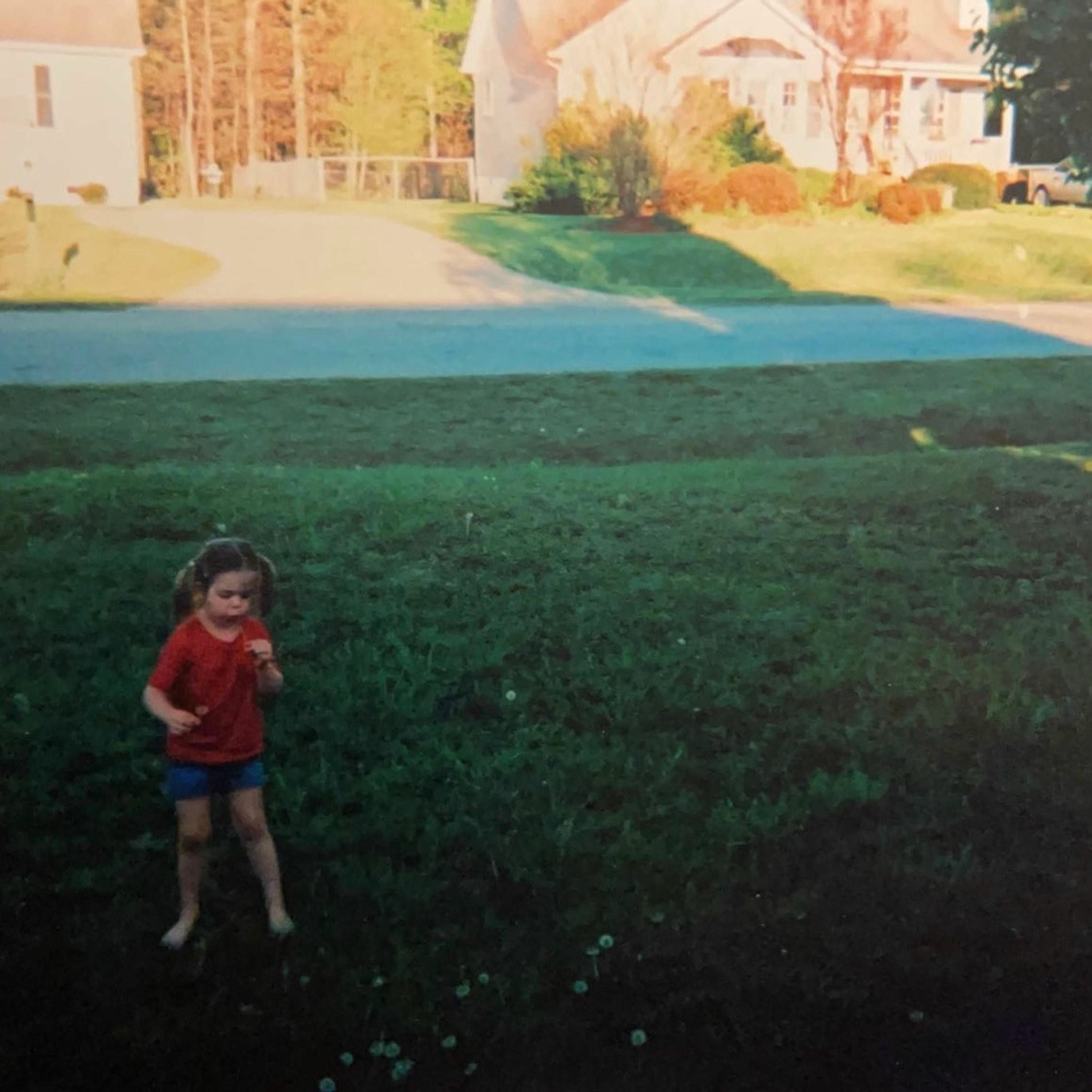 Album cover of nosebleeds (voice memo)