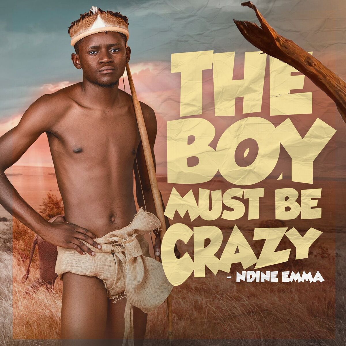 Album cover of The Boy Must Be Crazy