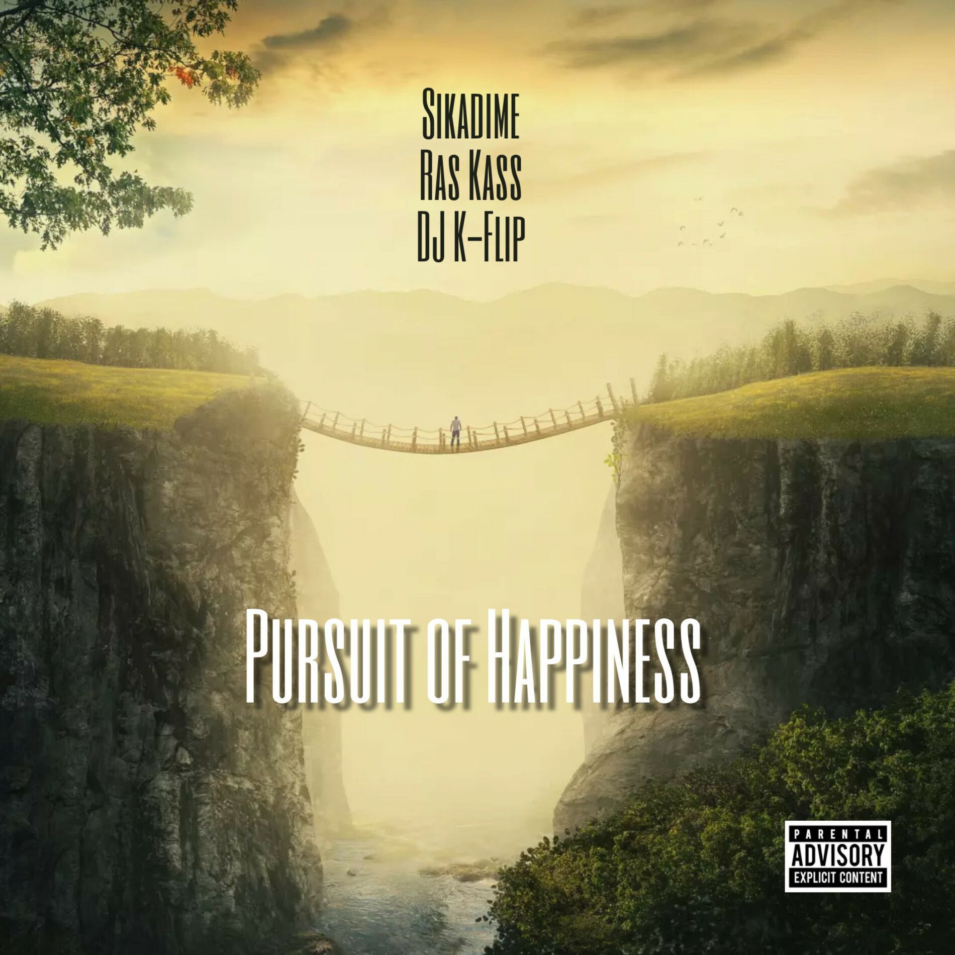 Album cover of Pursuit Of Happiness