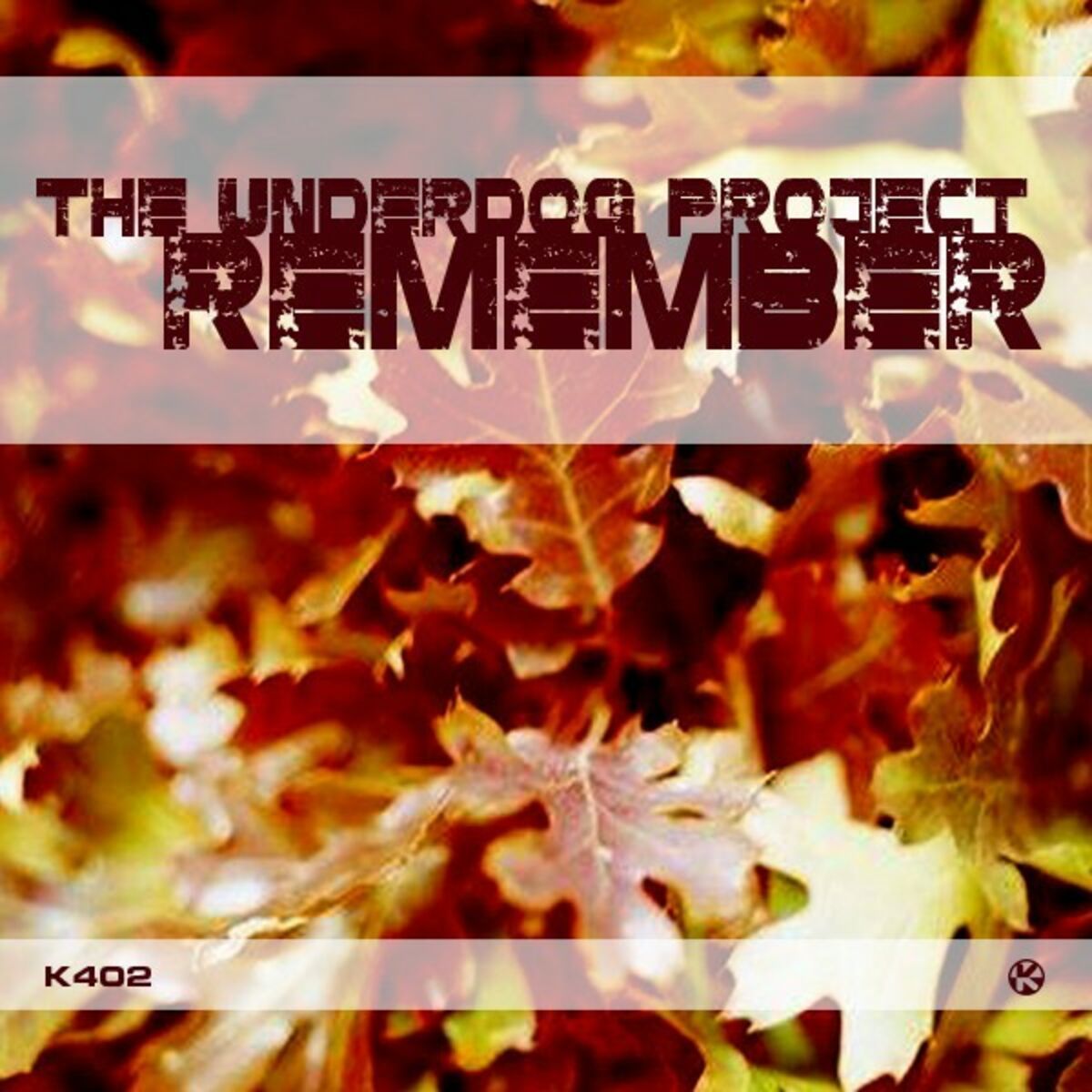 Album cover of Remember