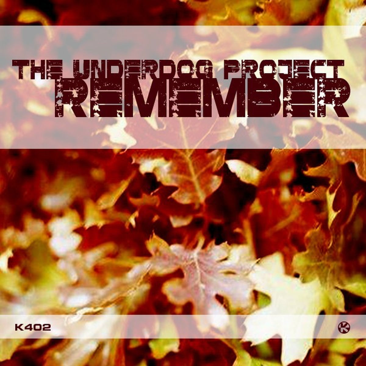 Album picture of Remember