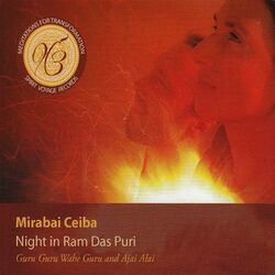 Cover of Night in Ram Das Puri