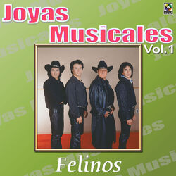 Cover of Joyas Musicales: Se Ponen Románticos, Vol. 1