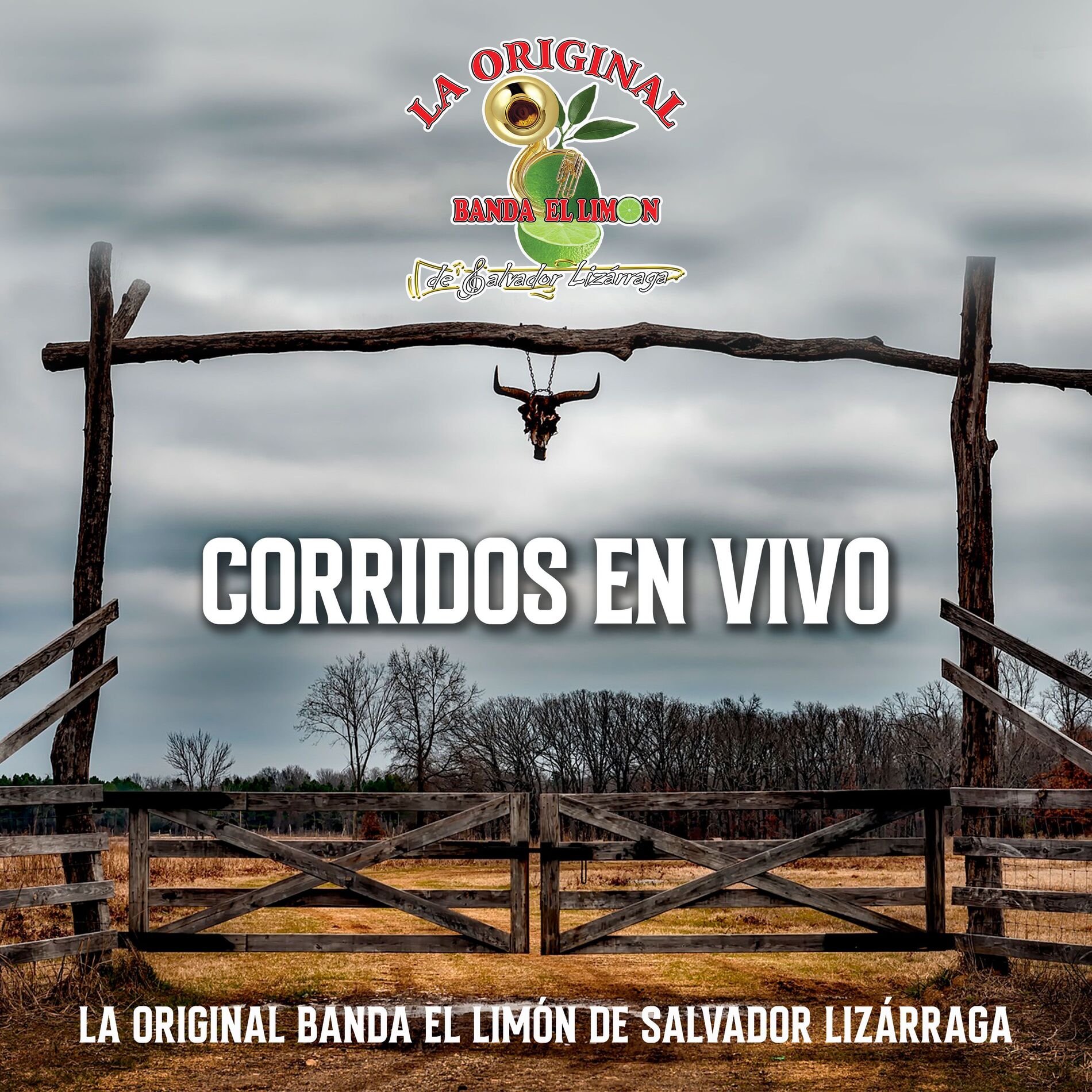 Album cover of Corridos En Vivo La Original Banda El Limón (En Vivo)