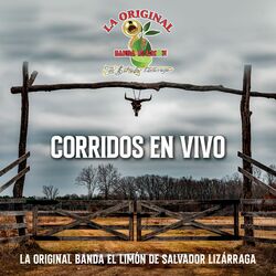 Cover of Corridos En Vivo La Original Banda El Limón (En Vivo)