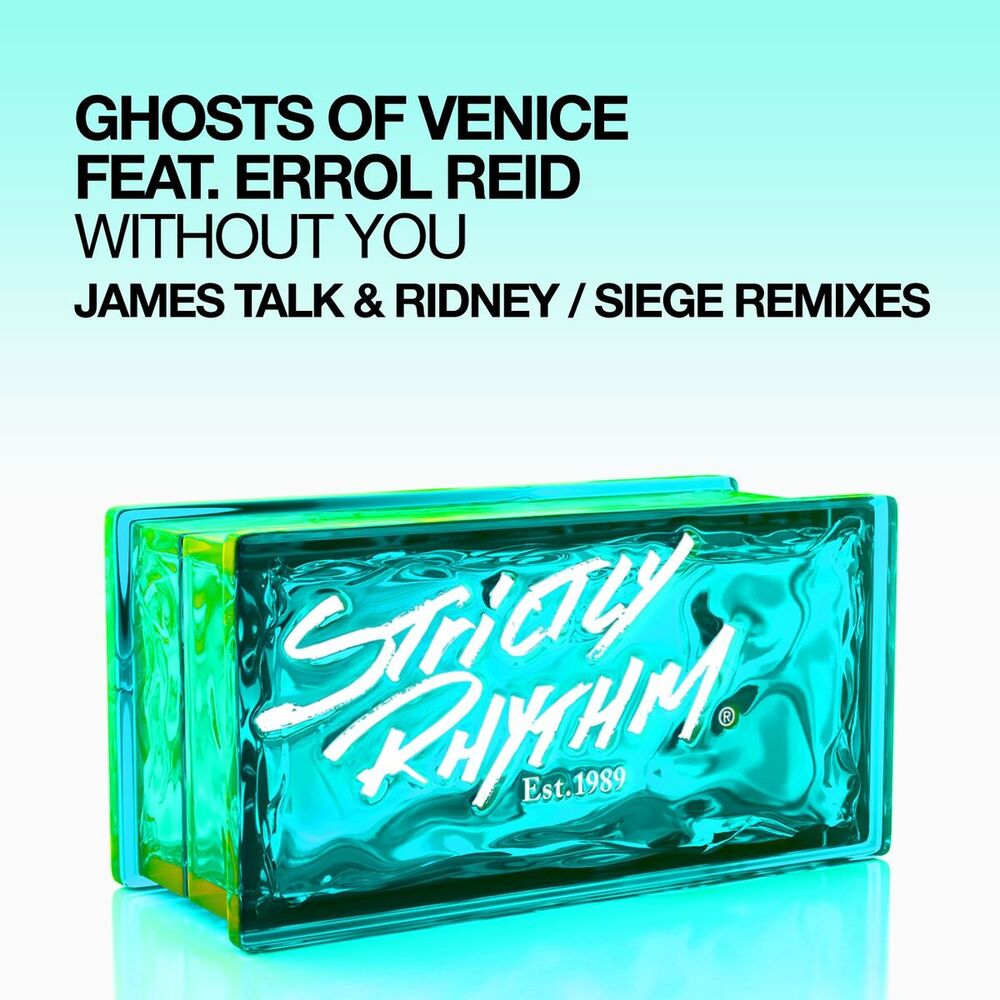 Picture of Without You (feat. Errol Reid) (James Talk & Ridney / Siege Remixes)