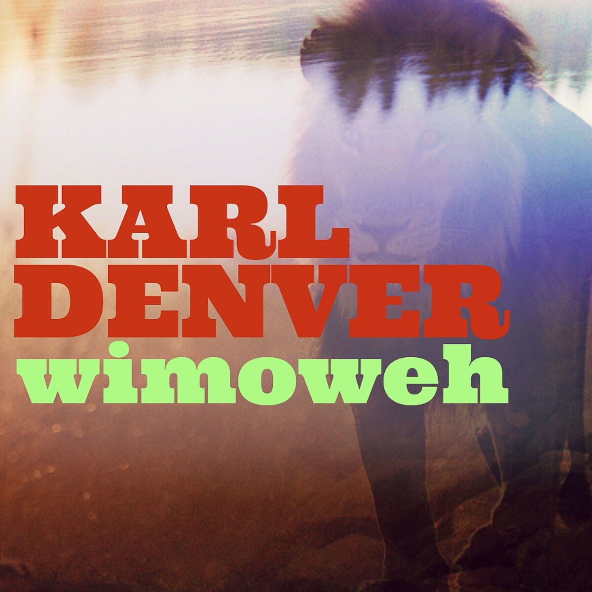 Album cover of Wimoweh