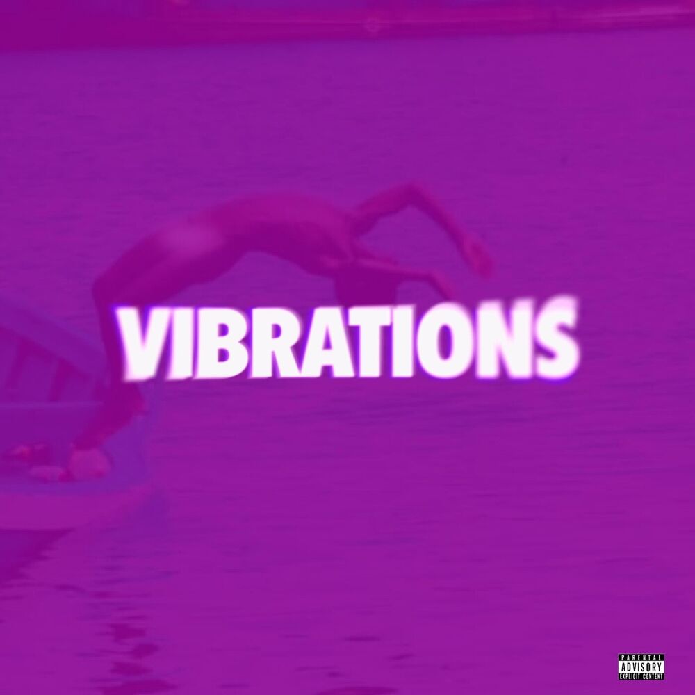 Picture of VIBRATIONS