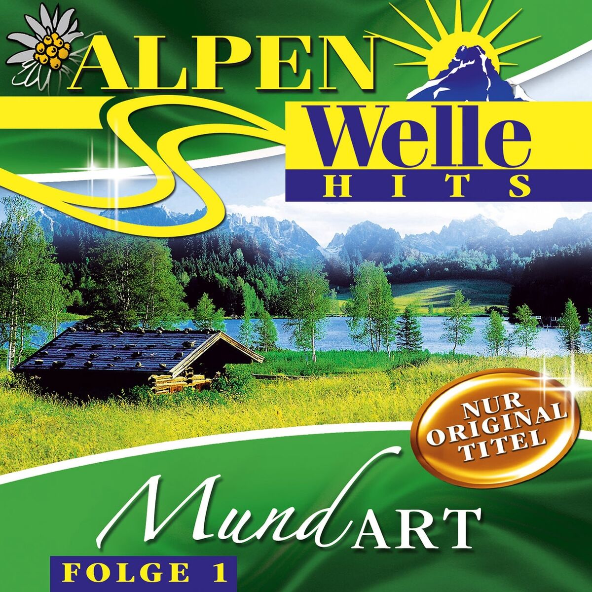 Album cover of Die bescht Mundart Box