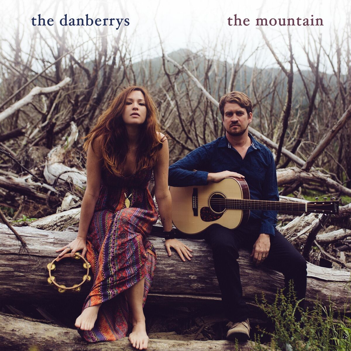 Album cover of The Mountain