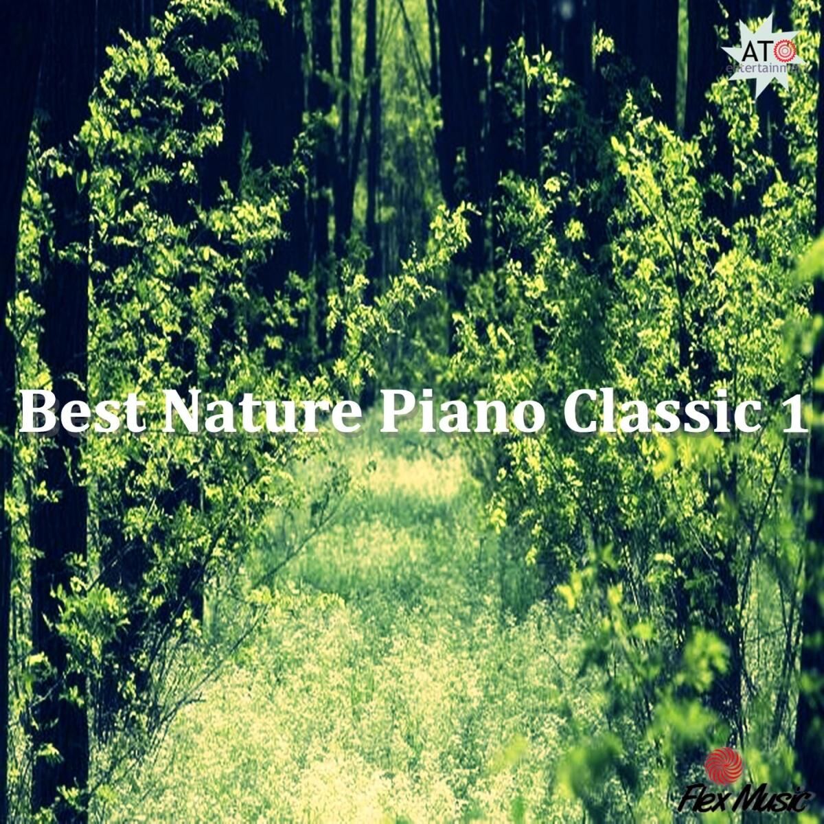 Album cover of Best Nature Piano Classic 1