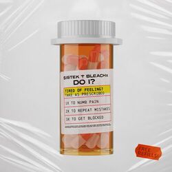 Cover of Do I?