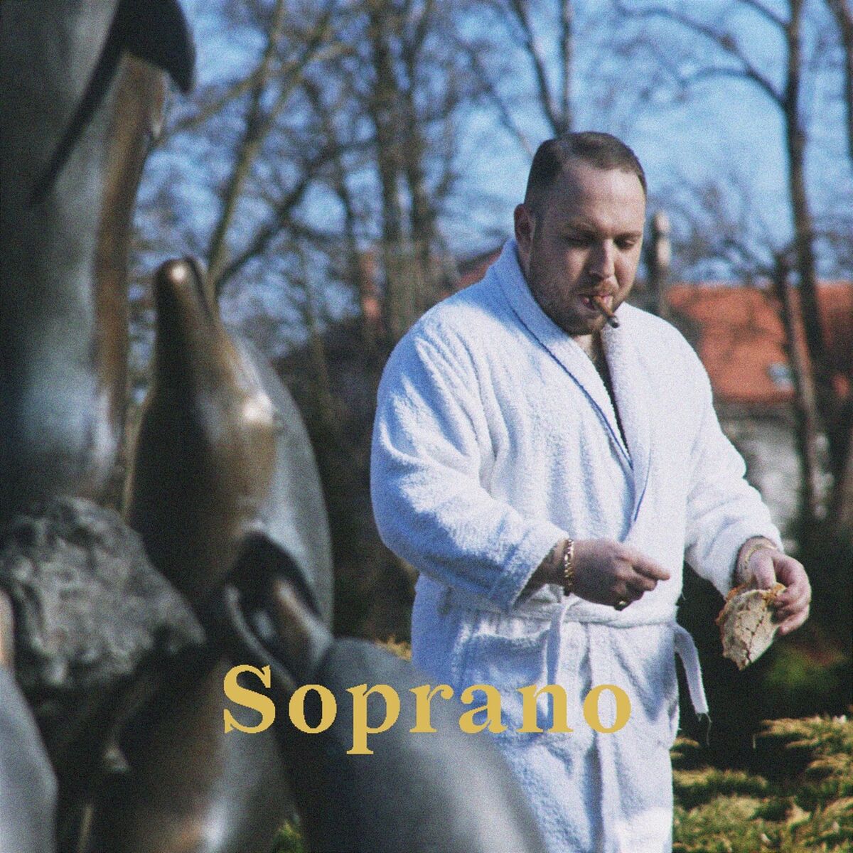 Album cover of Soprano