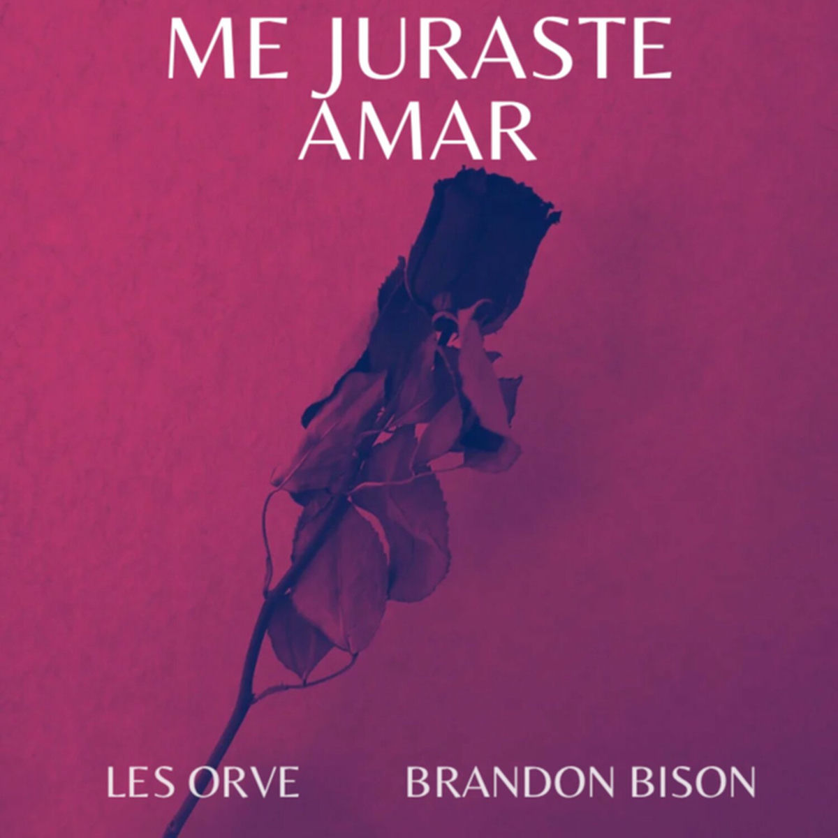 Album cover of Me Juraste Amar