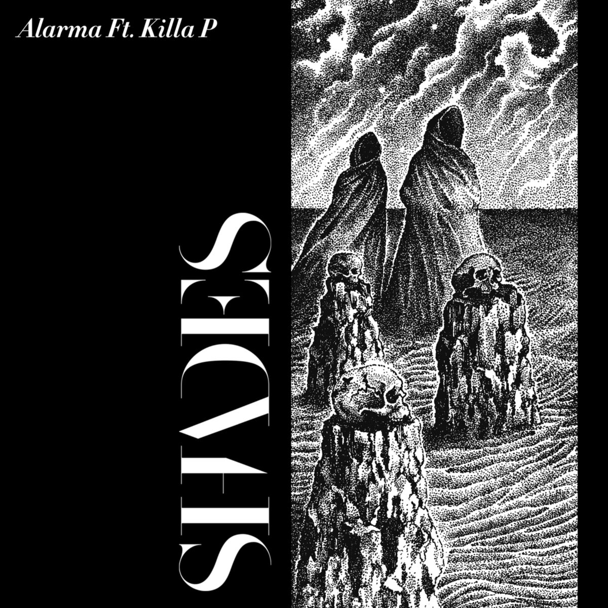 Album cover of Alarma