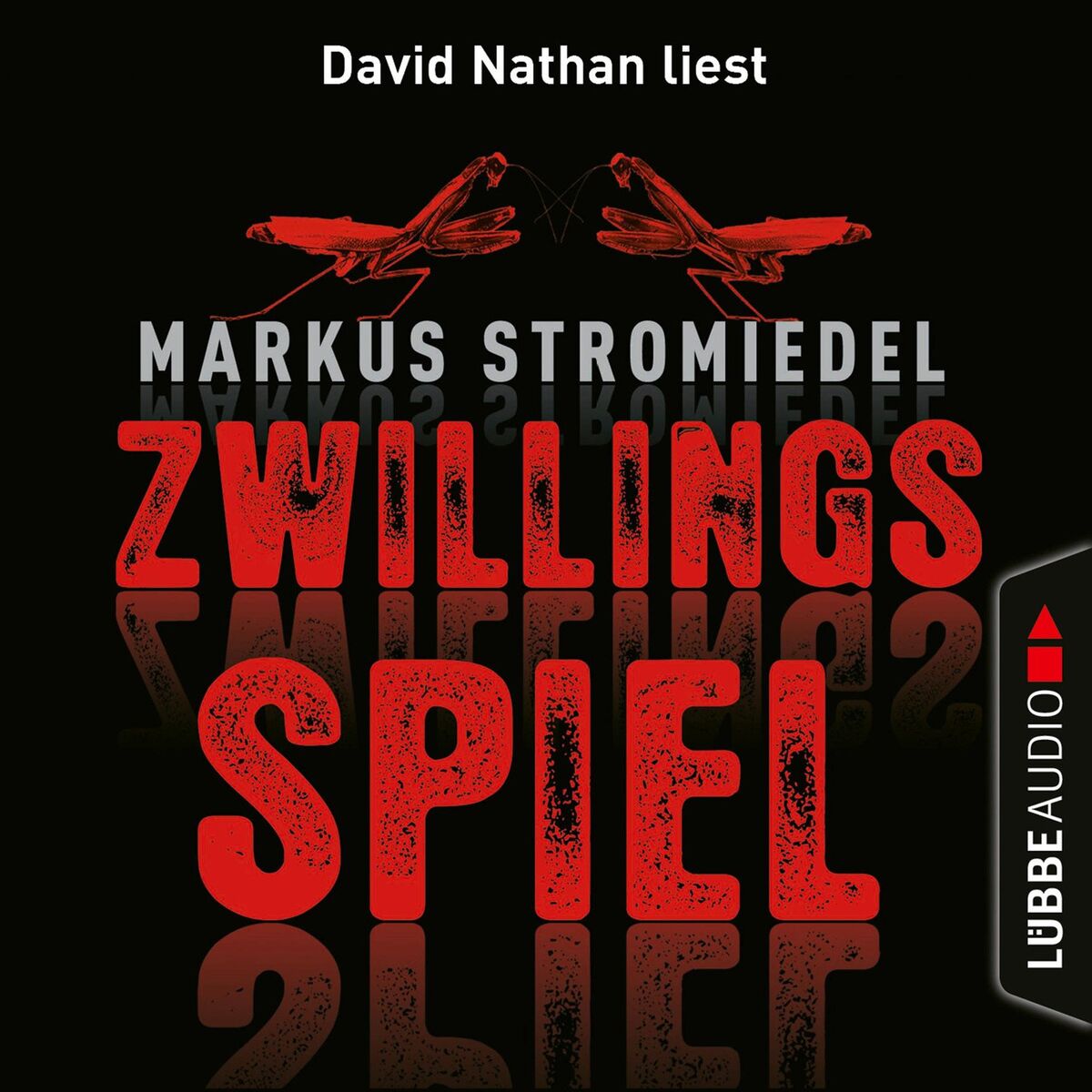 Album cover of Zwillingsspiel (Gekürzt)
