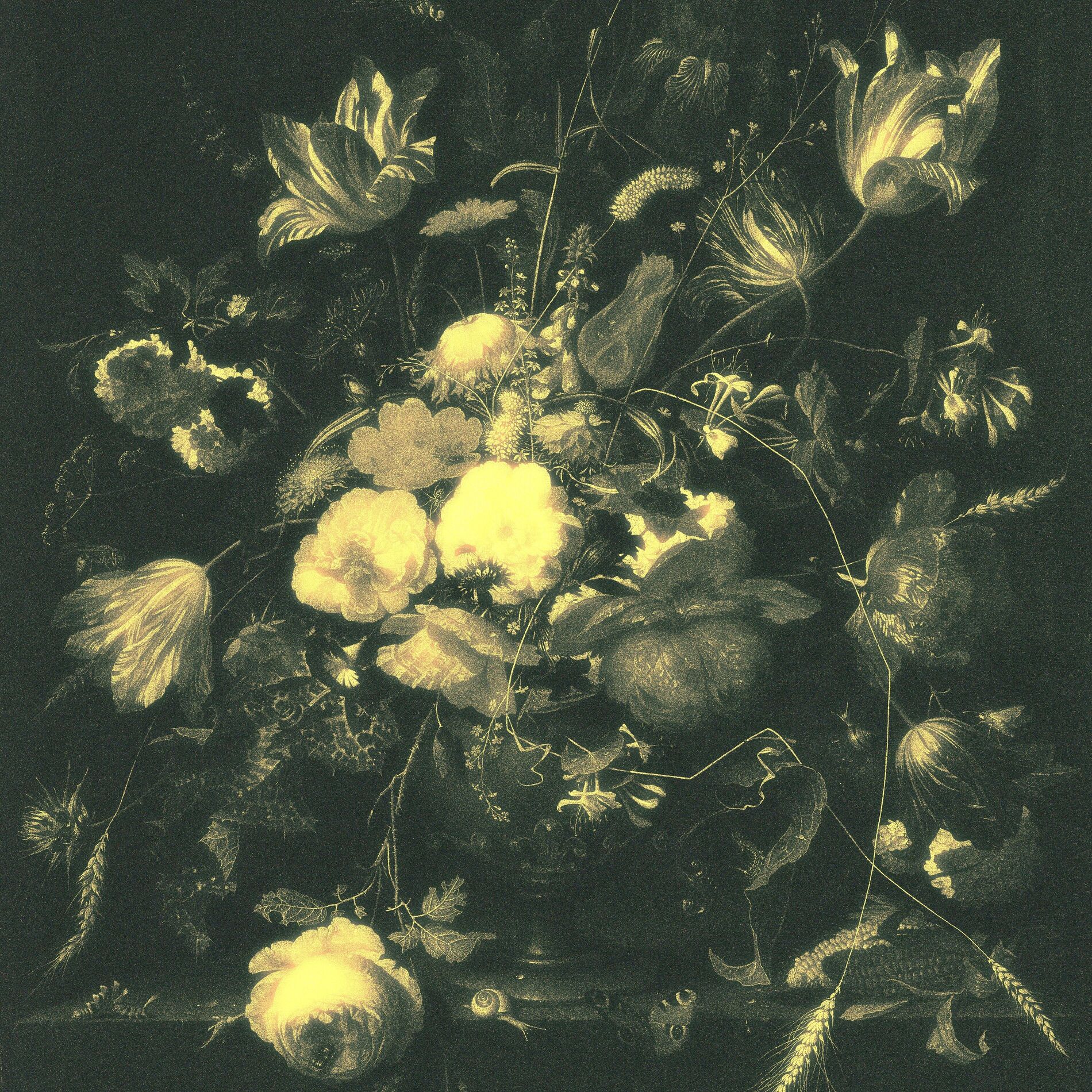 Album cover of Seven