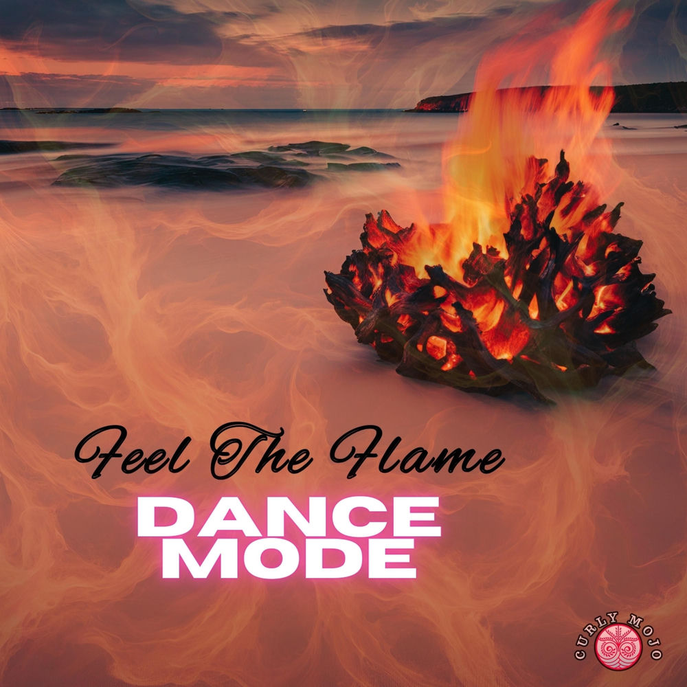 Feel The Flame (DANCE MODE) artwork