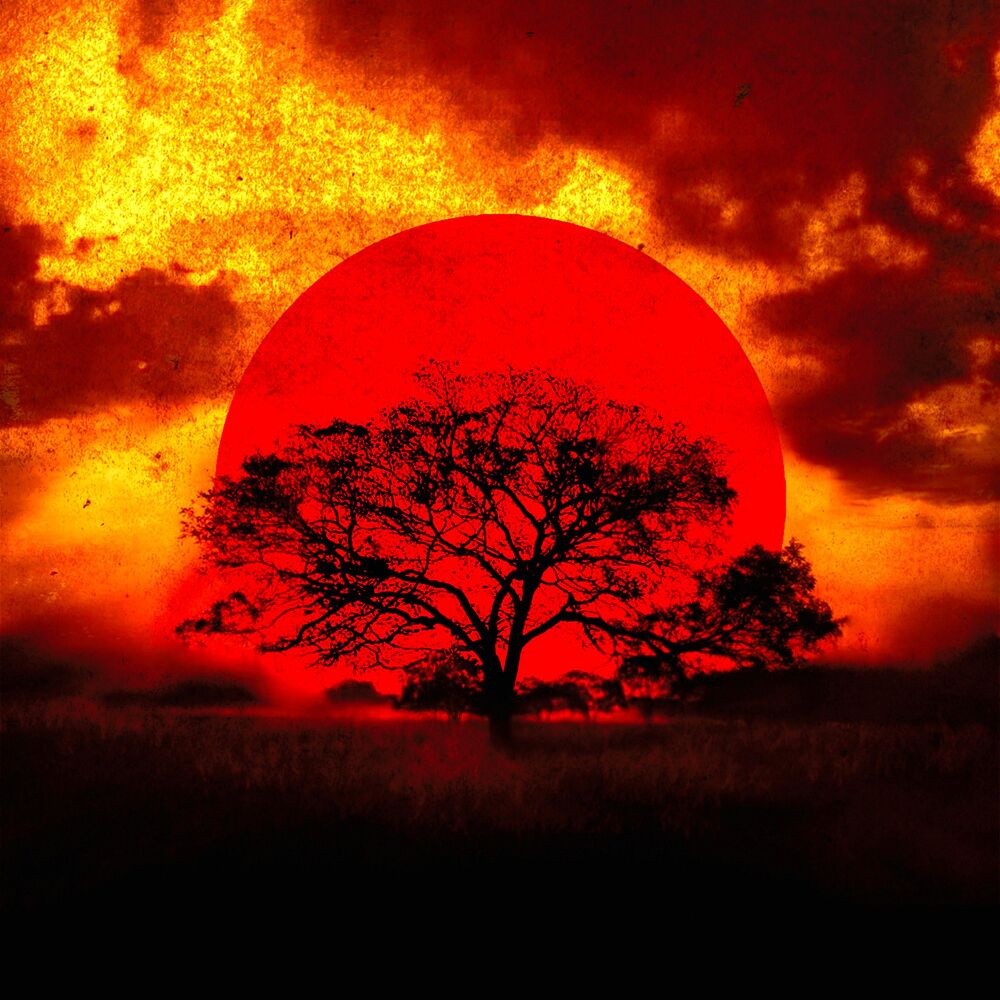 Picture of In the Sunset