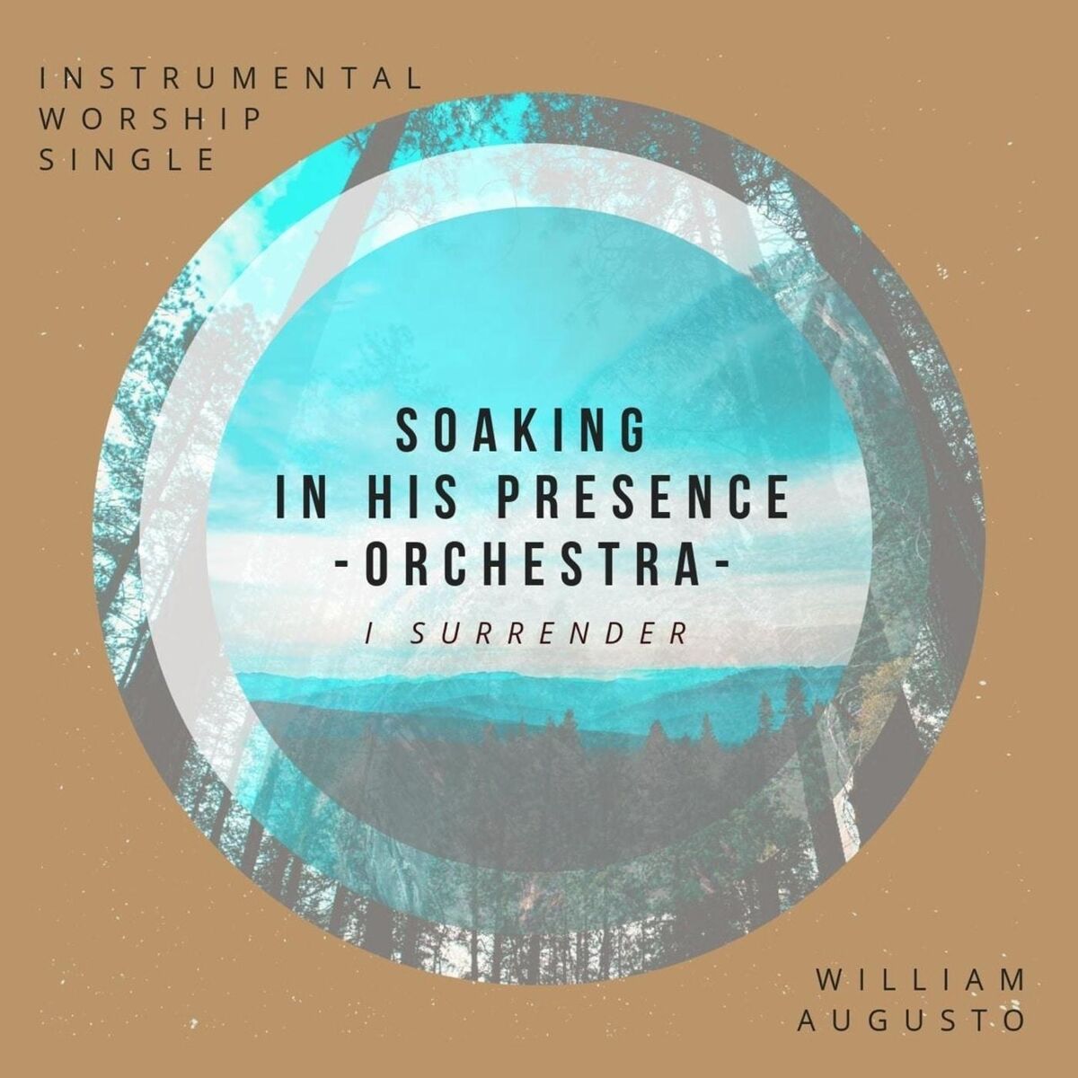 Album cover of Soaking in His Presence Orquestra: I Surrender