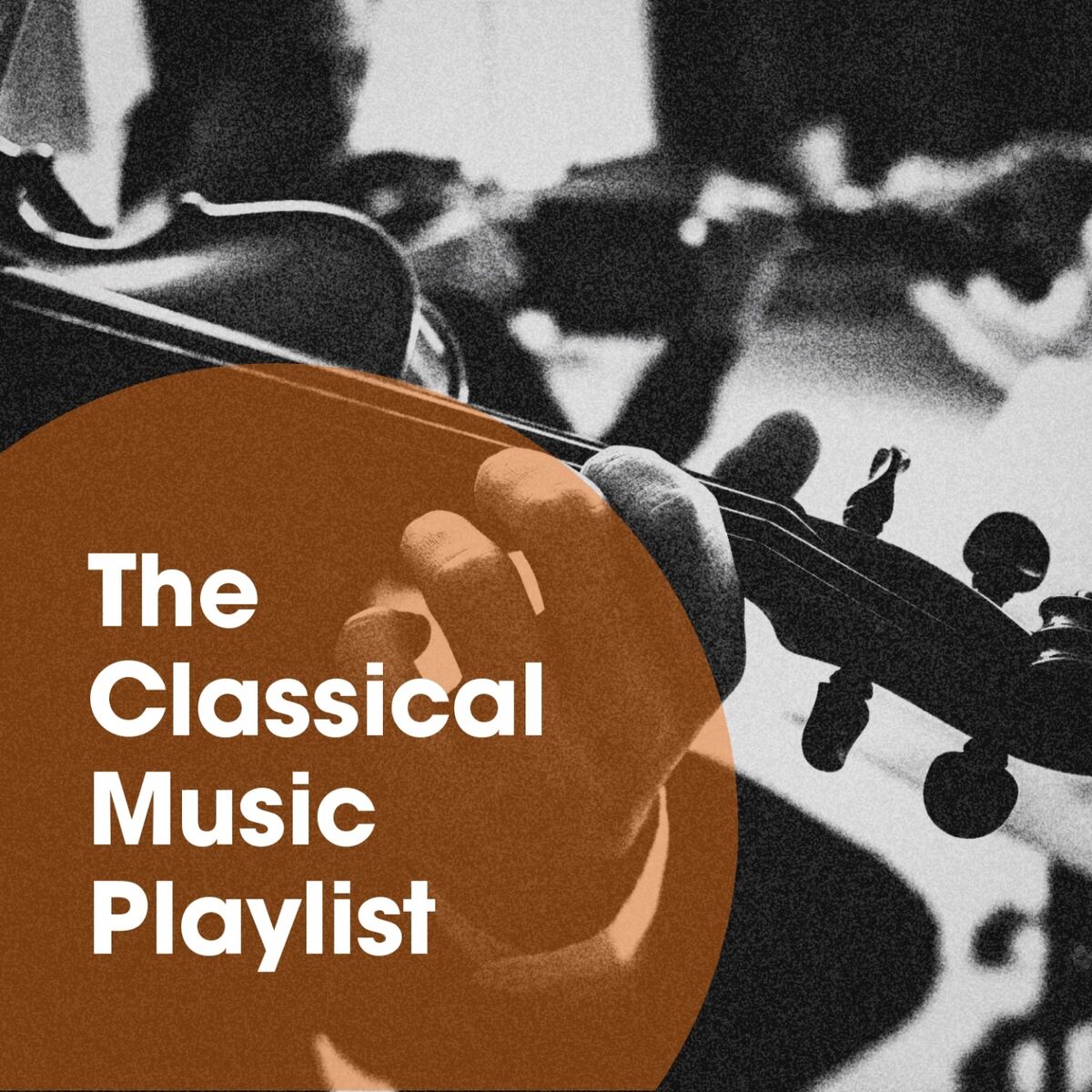Album cover of The Classical Music Playlist