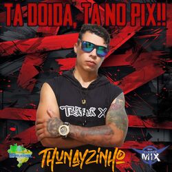 Cover of Tá Doida Tá no Pix