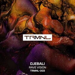 Cover of Rave Vision