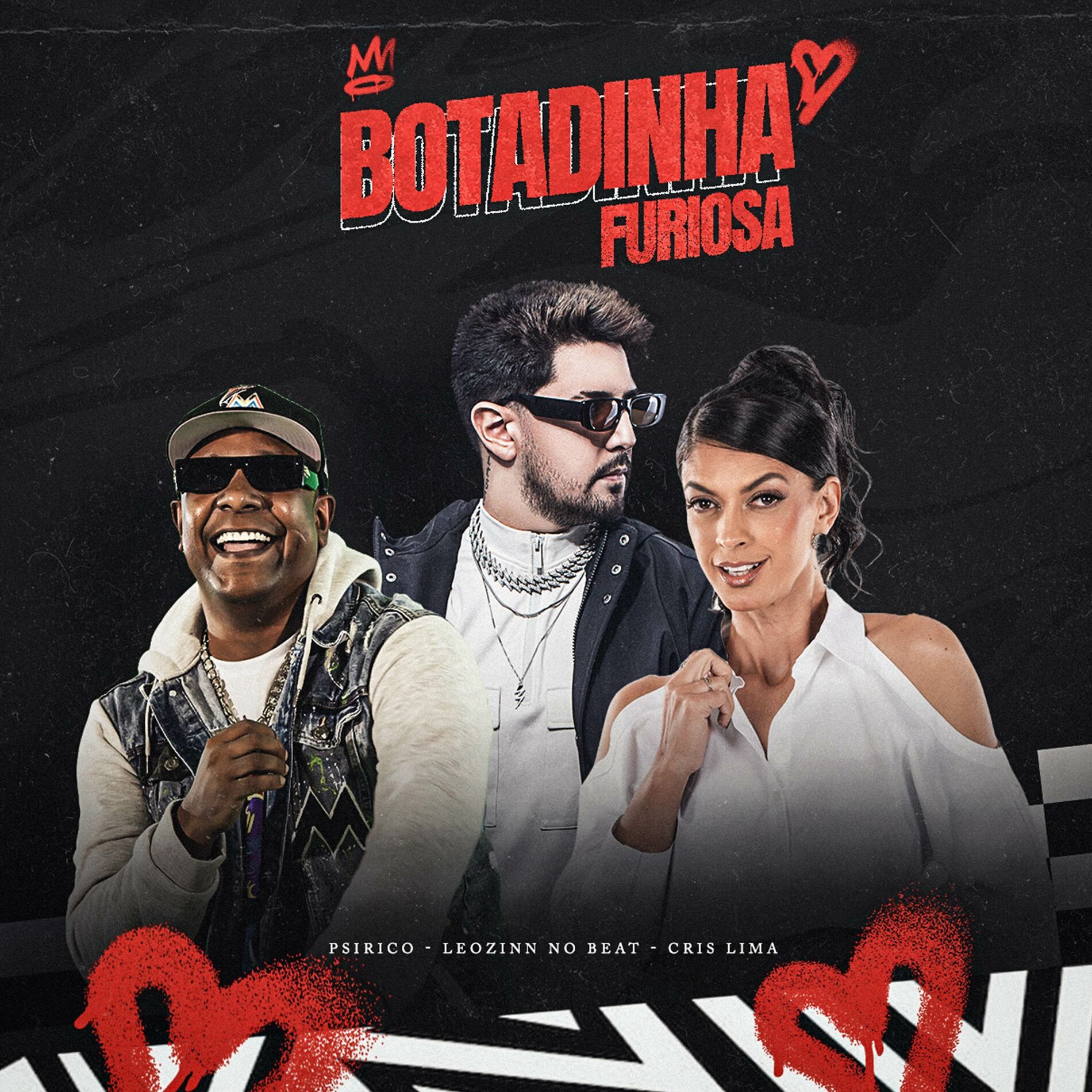 Album cover of BOTADINHA FURIOSA